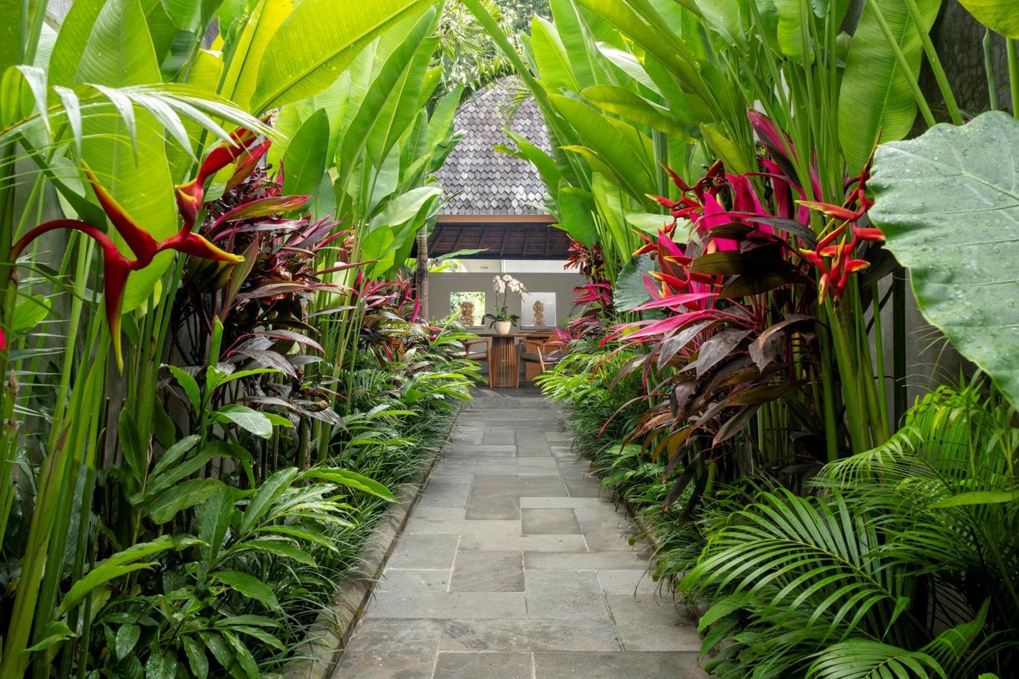 Mayaloka * Ubud